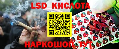 ECSTASY Новозыбков