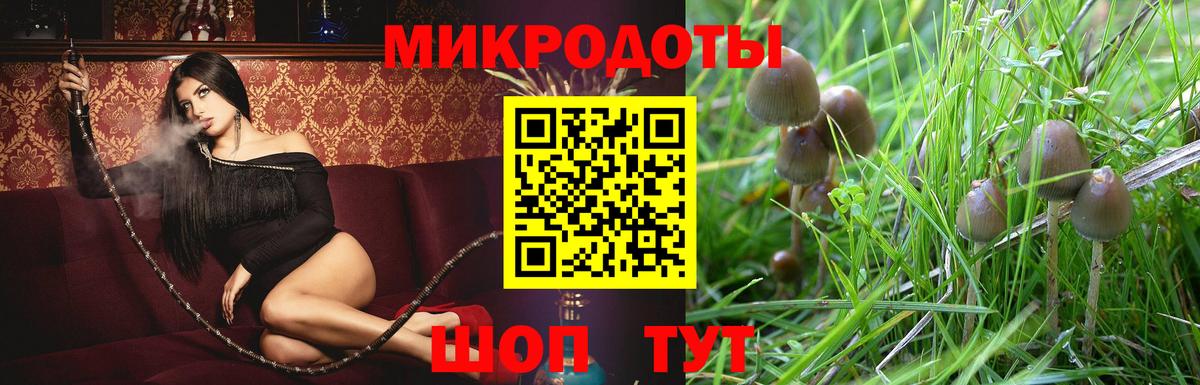 Галлюциногенные грибы MAGIC MUSHROOMS Шатура